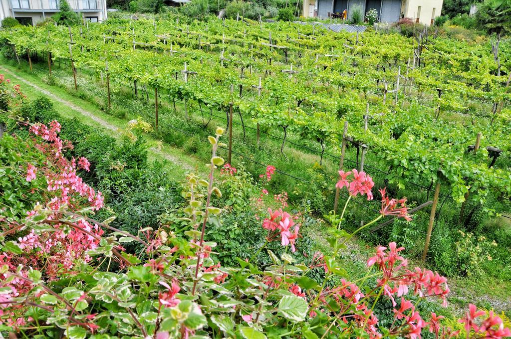 Hotel Zima Merano Szoba fotó